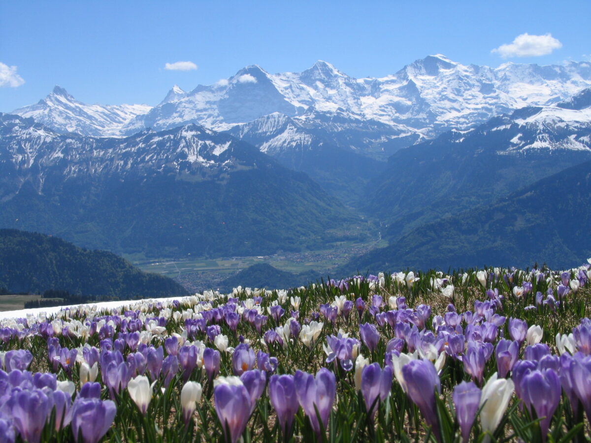 Beatenberg Tourismus