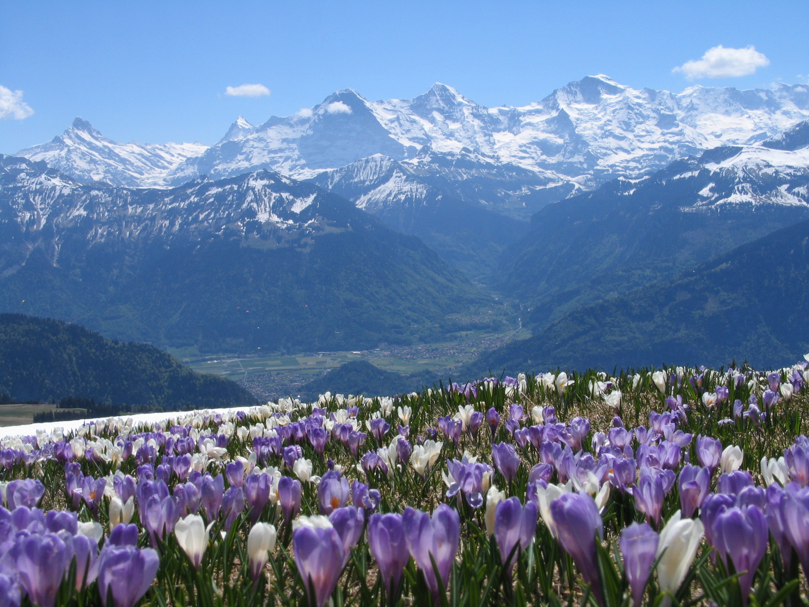 Beatenberg Tourismus