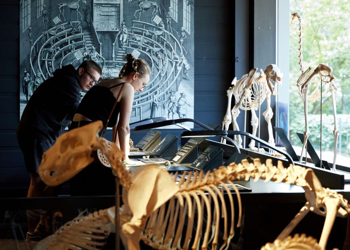 KULTURAMA Museum des Menschen